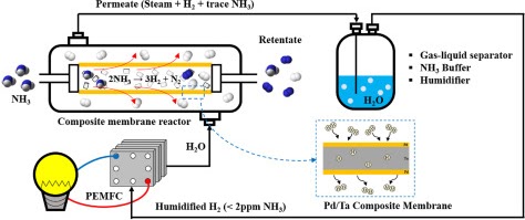 A catalytic composite membrane reactor system for hydrogen production from ammonia using steam as a sweep gas (Elsevier, IF: 7.015, JCR: 1.724%)