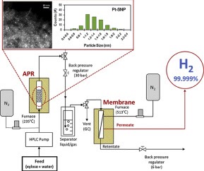 High purity hydrogen production via aqueous phase reforming of xylose over small Pt nanoparticles on a γ-Al2O3 support (Elsevier, IF: 4.084, JCR: 28.846%)
