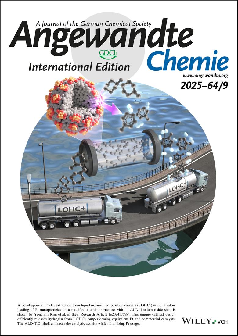 Scalable Atomic-Layer Tailoring of Abundant Oxide Supports Unlocks Superior Interfaces for Low-Metal-Loading Dehydrogenation (Wiley, IF: 17, JCR: 6.1%)