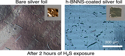 Hexagonal Boron Nitride Nanosheets Grown via Chemical Vapor Deposition for Silver Protection (ACS, IF: 6.140, JCR: 29.13%) 