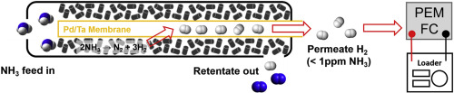 A viable membrane reactor option for sustainable hydrogen production from ammonia (Elsevier, IF: 9.794 JCR: 11.67 %)